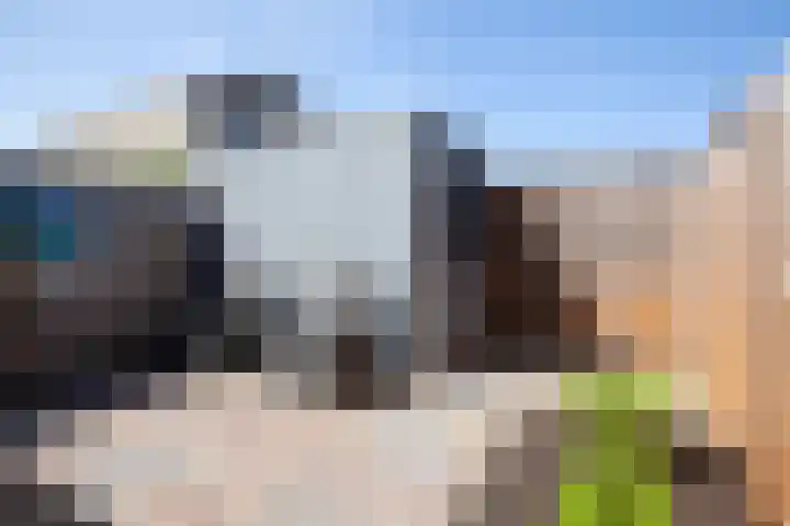 Boterbloem 20 Bodegraven thumbnail 35