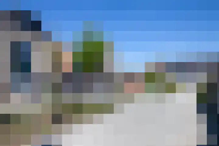 Boterbloem 20 Bodegraven thumbnail 37