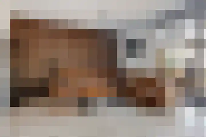 Boterbloem 20 Bodegraven thumbnail 8