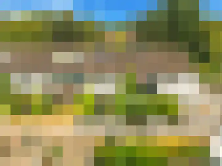 Boterbloem 20 Castricum thumbnail 47
