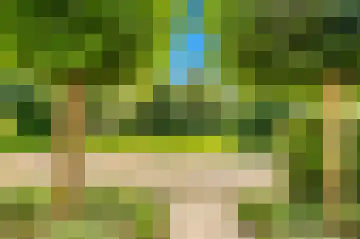 Boterbloem 20 Castricum thumbnail 7
