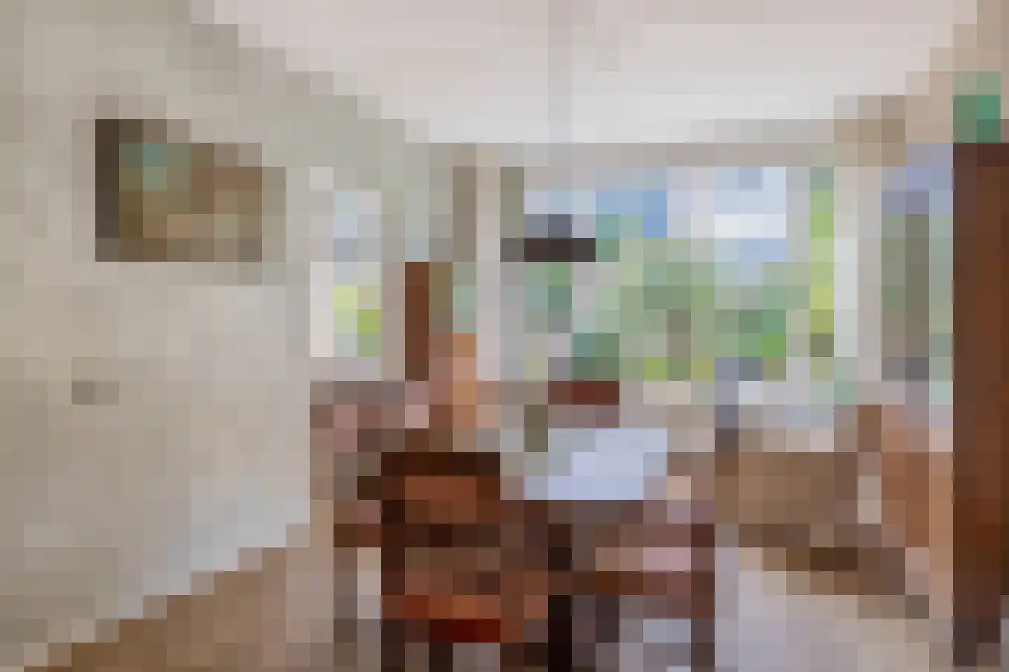 Boterbloem 21 Rotterdam thumbnail 15