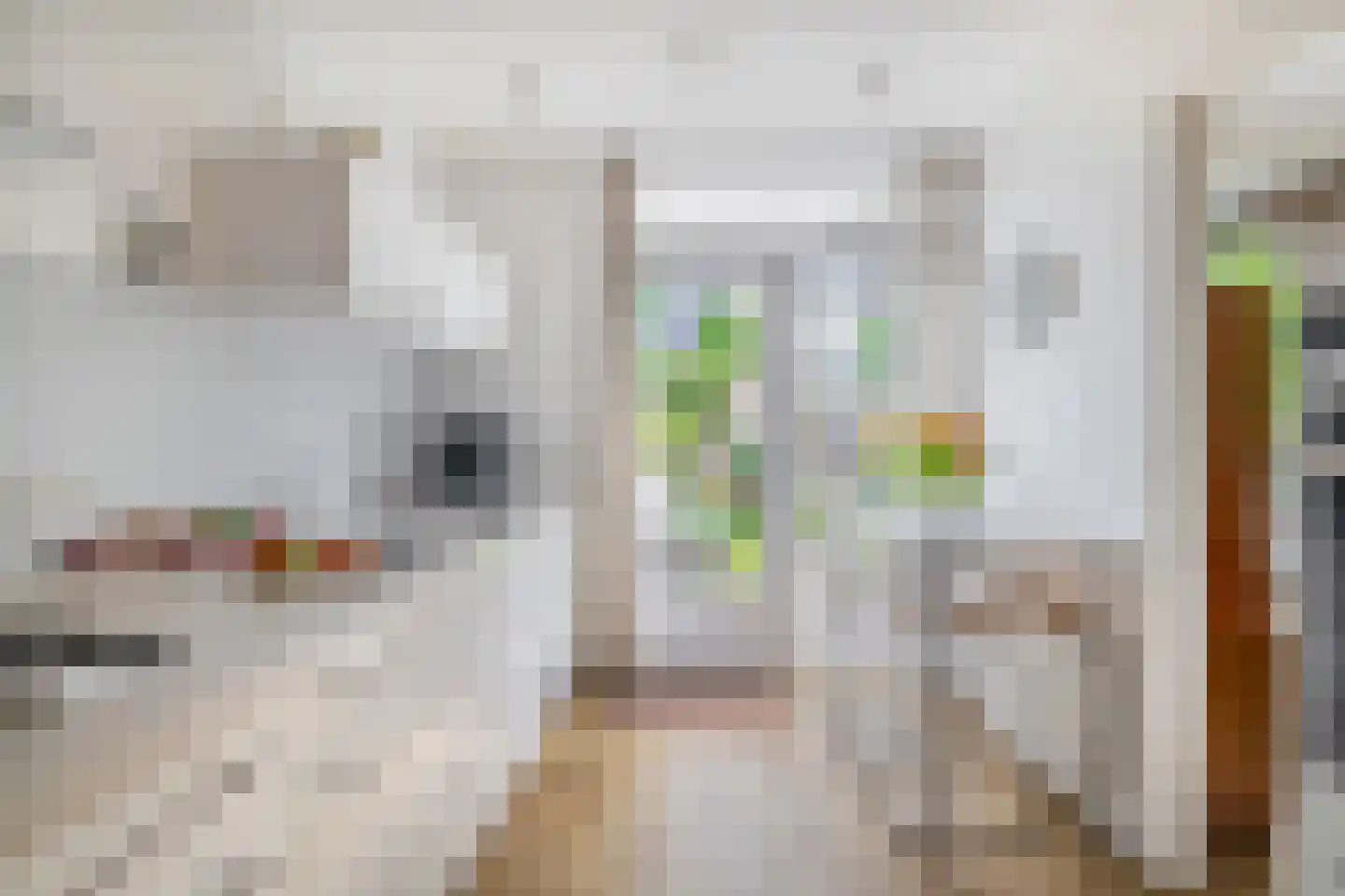 Boterbloem 21 Rotterdam thumbnail 20