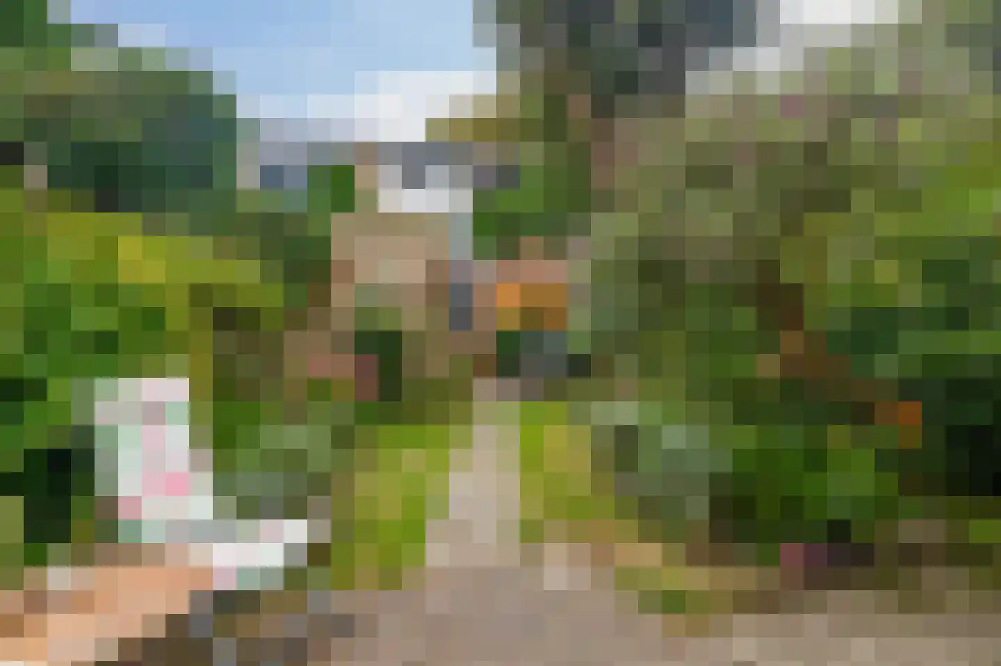 Boterbloem 21 Rotterdam thumbnail 36