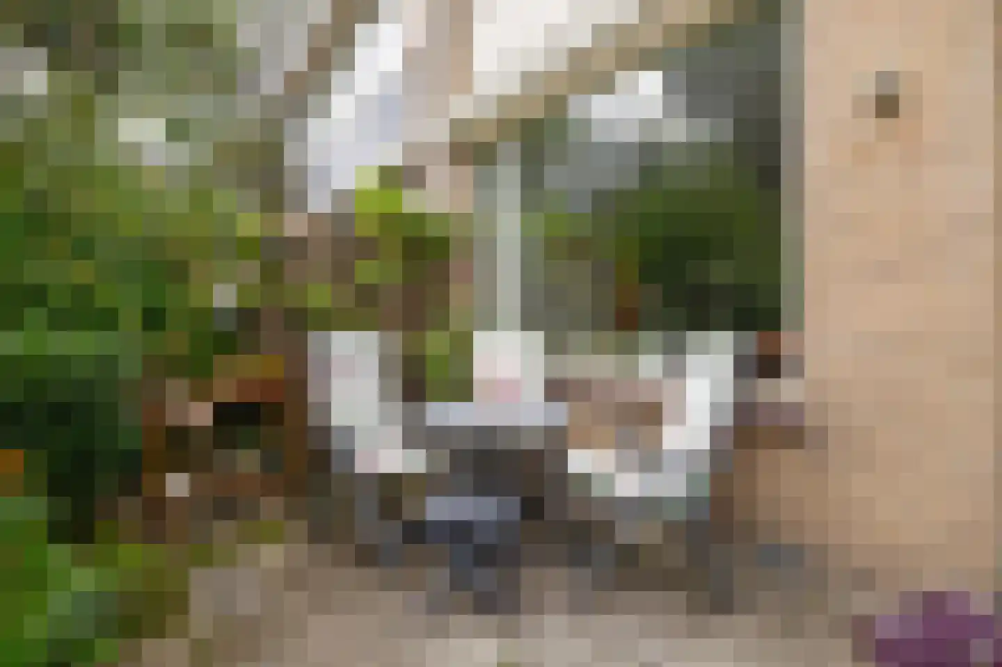 Boterbloem 21 Rotterdam thumbnail 37