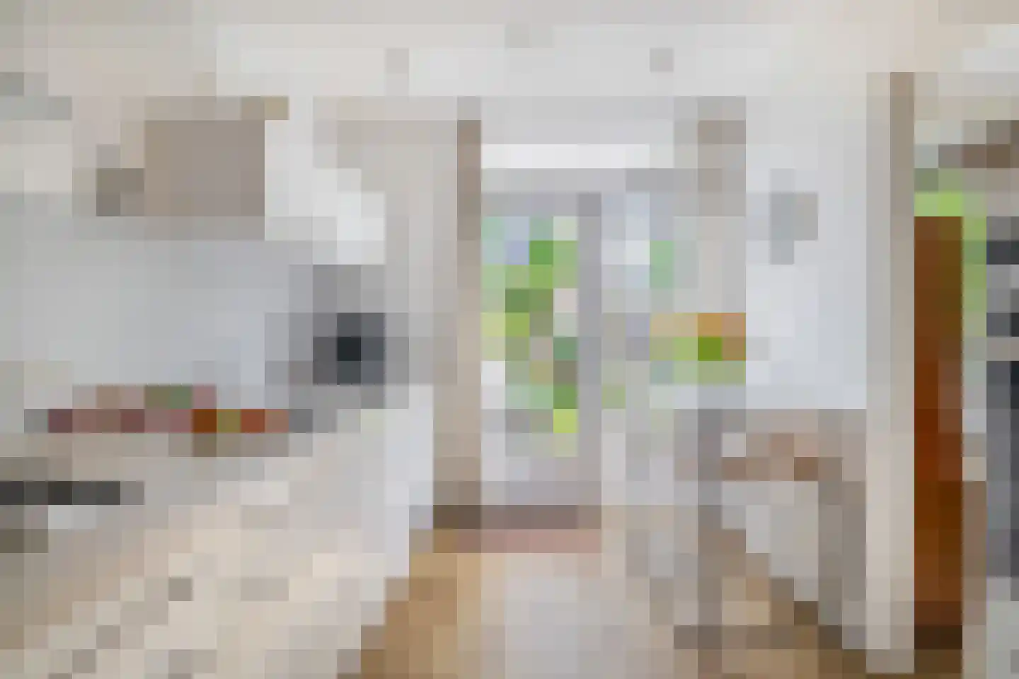 Boterbloem 21 Rotterdam thumbnail 4