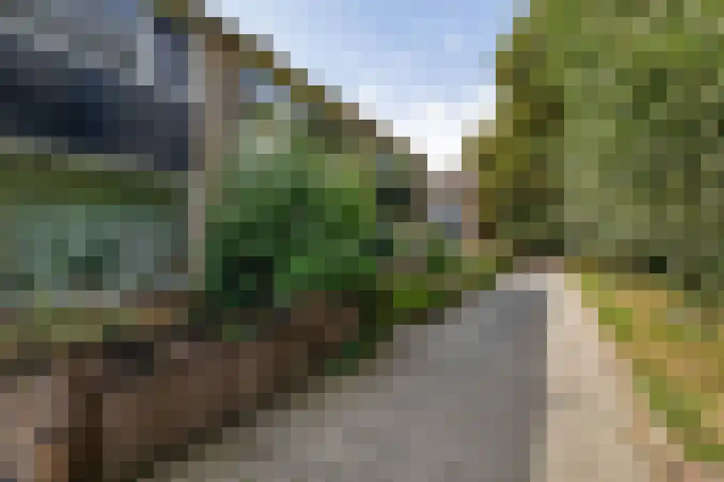 Boterbloem 21 Rotterdam thumbnail 43
