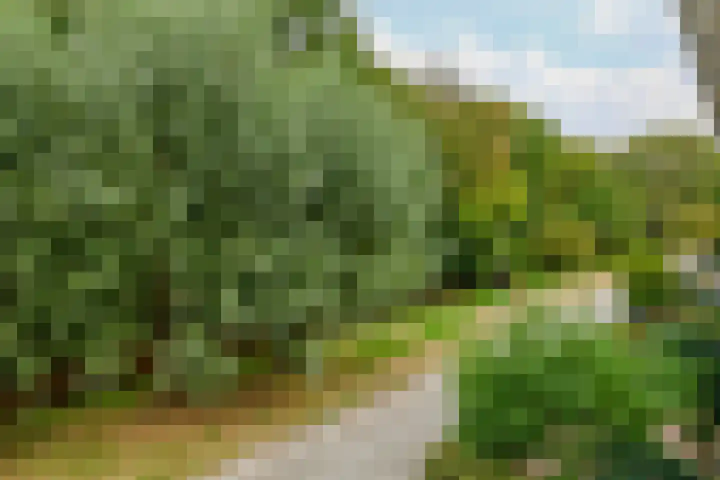Boterbloem 21 Rotterdam thumbnail 46
