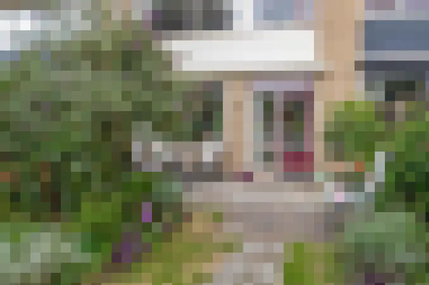 Boterbloem 21 Rotterdam thumbnail 5