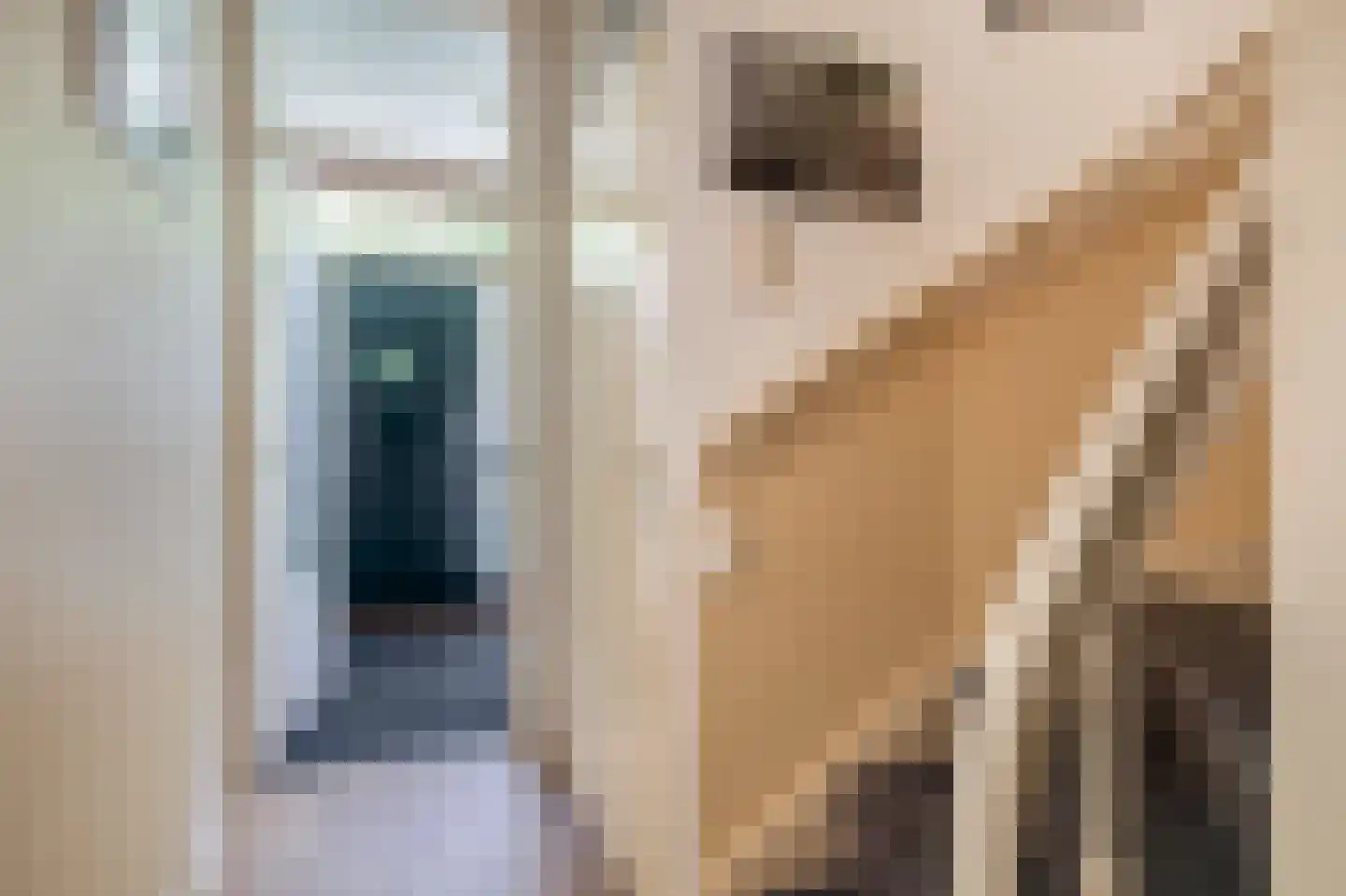 Boterbloem 21 Rotterdam thumbnail 8