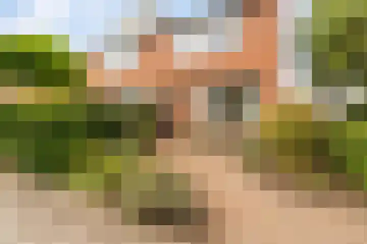 Boterbloem 22 IJsselmuiden thumbnail 10