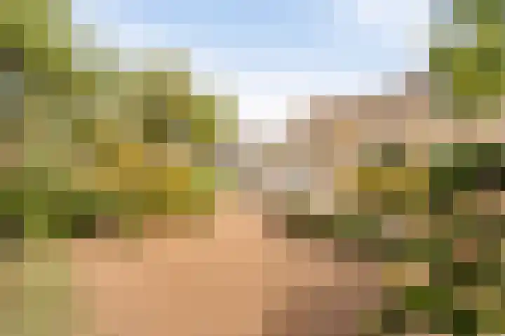 Boterbloem 22 IJsselmuiden thumbnail 11
