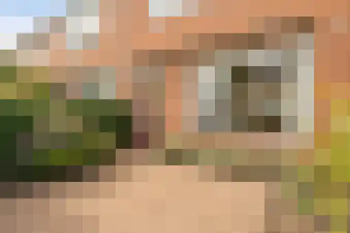 Boterbloem 22 IJsselmuiden thumbnail 12