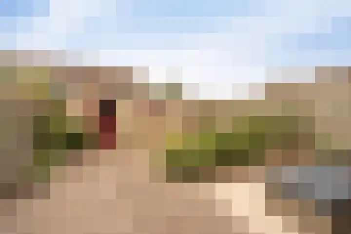 Boterbloem 22 IJsselmuiden thumbnail 25