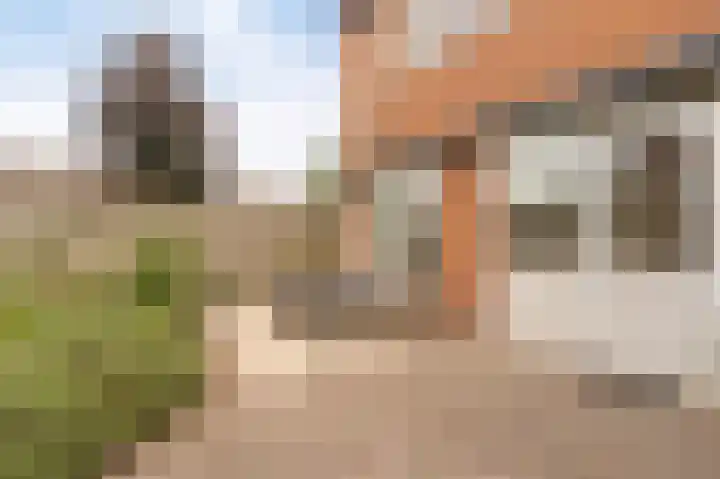 Boterbloem 22 IJsselmuiden thumbnail 27