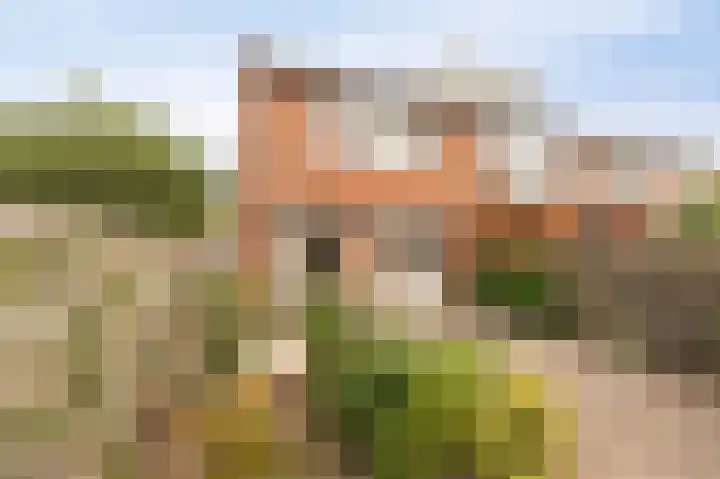 Boterbloem 22 IJsselmuiden thumbnail 28