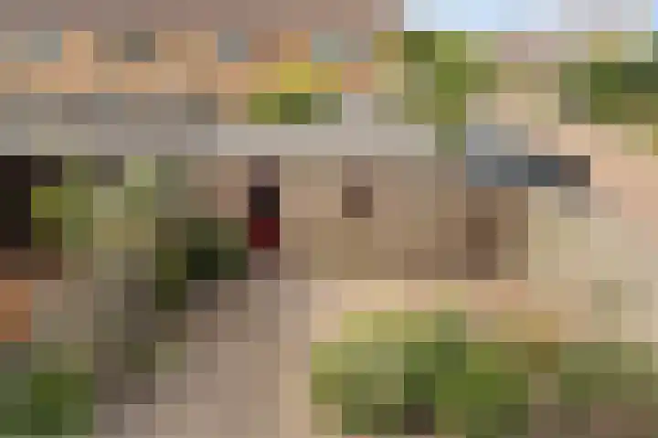 Boterbloem 22 IJsselmuiden thumbnail 38