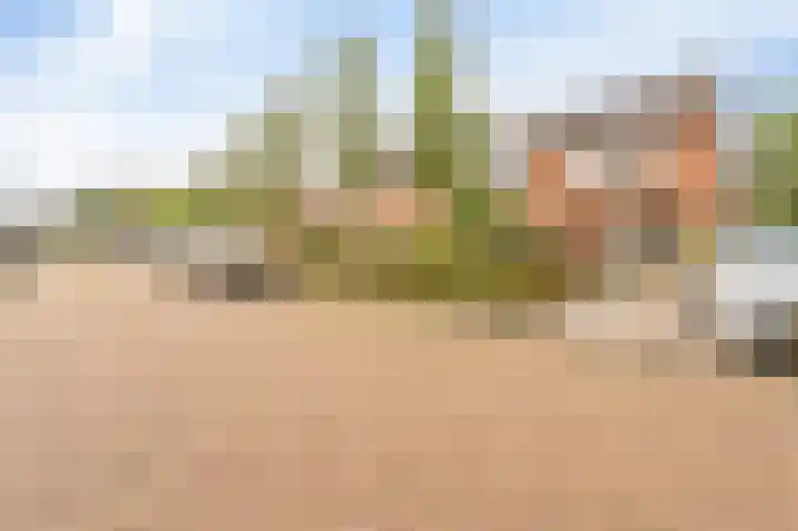 Boterbloem 22 IJsselmuiden thumbnail 52