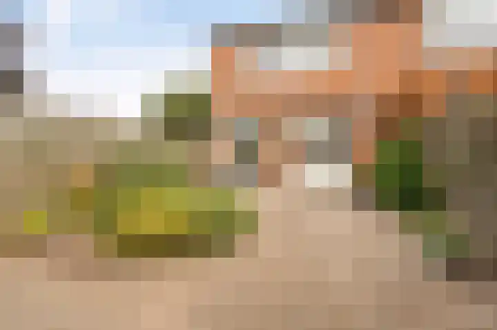 Boterbloem 22 IJsselmuiden thumbnail 6