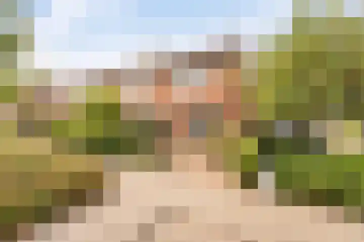 Boterbloem 22 IJsselmuiden thumbnail 7
