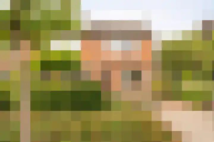 Boterbloem 22 IJsselmuiden thumbnail 8