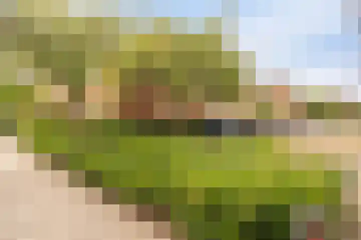 Boterbloem 22 IJsselmuiden thumbnail 9