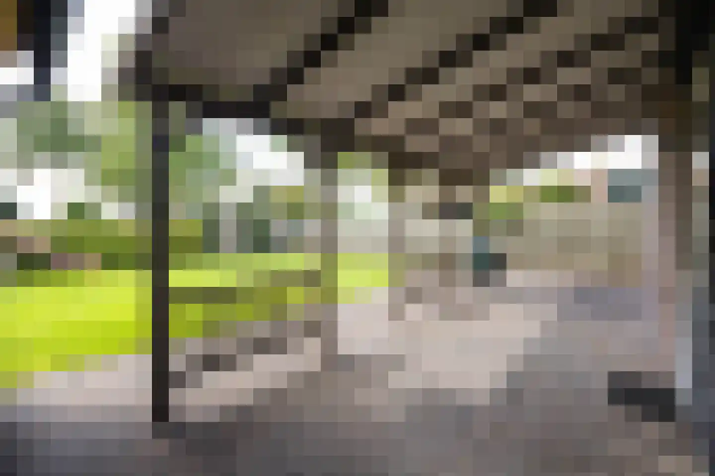 Boterbloem 22 Opmeer thumbnail 47