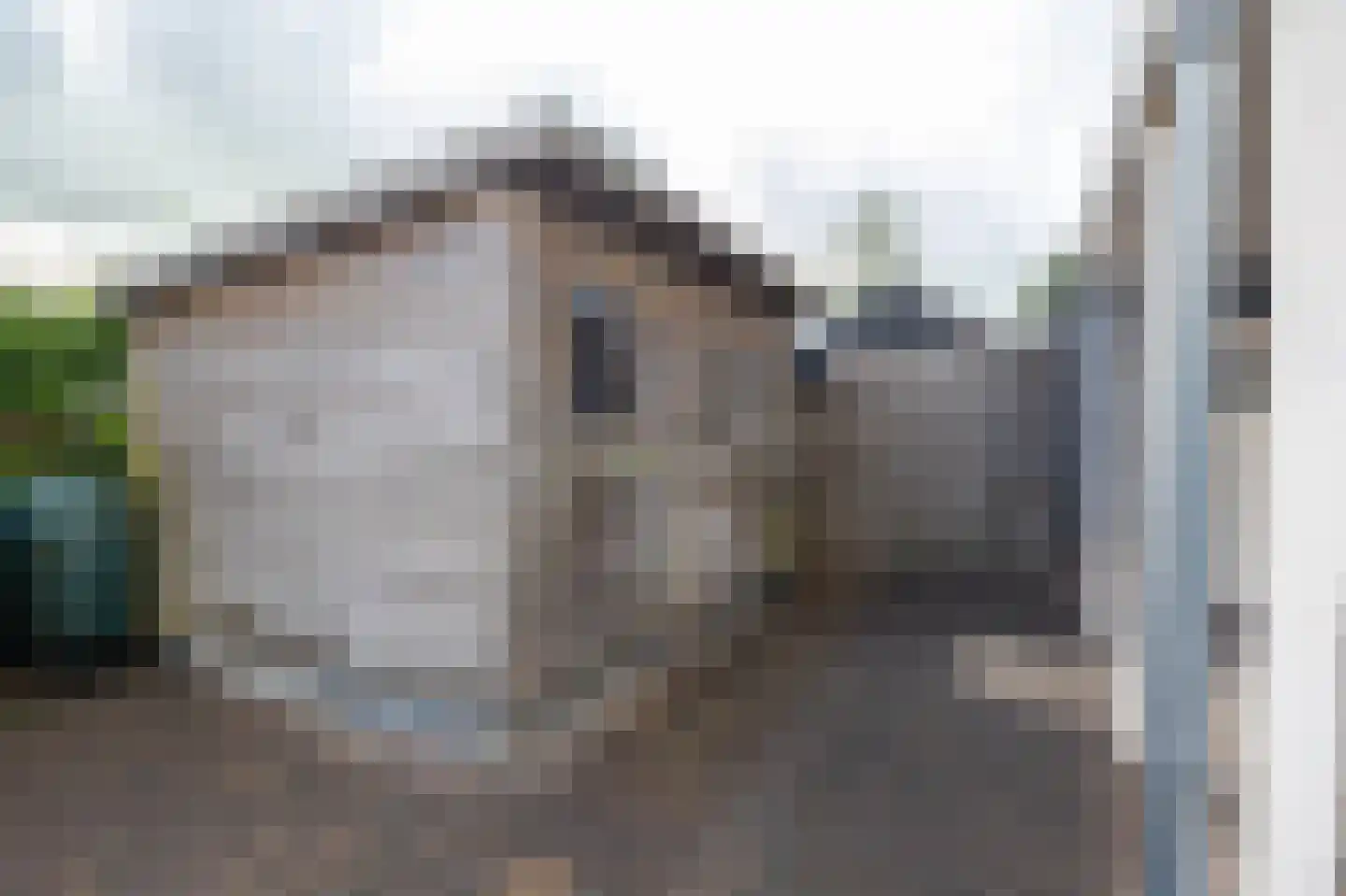 Boterbloem 22 Opmeer thumbnail 51