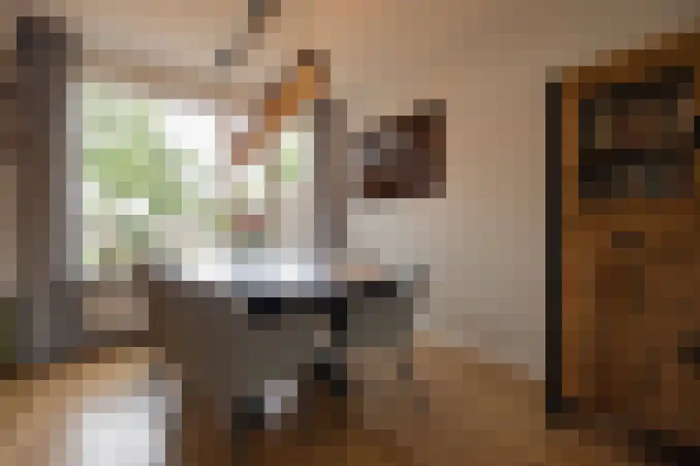 Boterbloem 22 Opmeer thumbnail 8