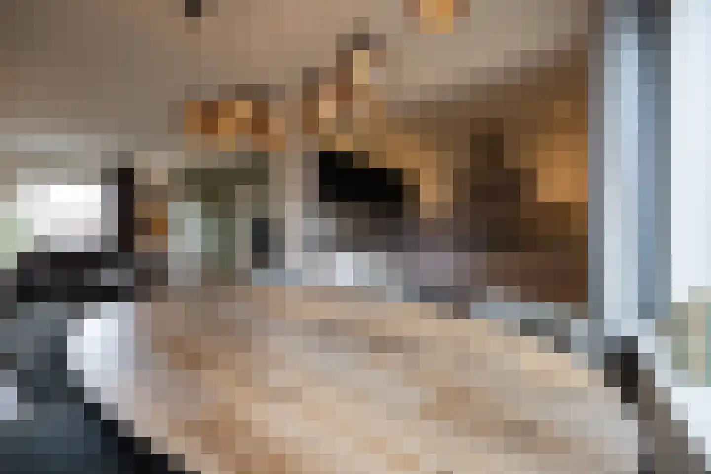 Boterbloem 22 Opmeer thumbnail 9
