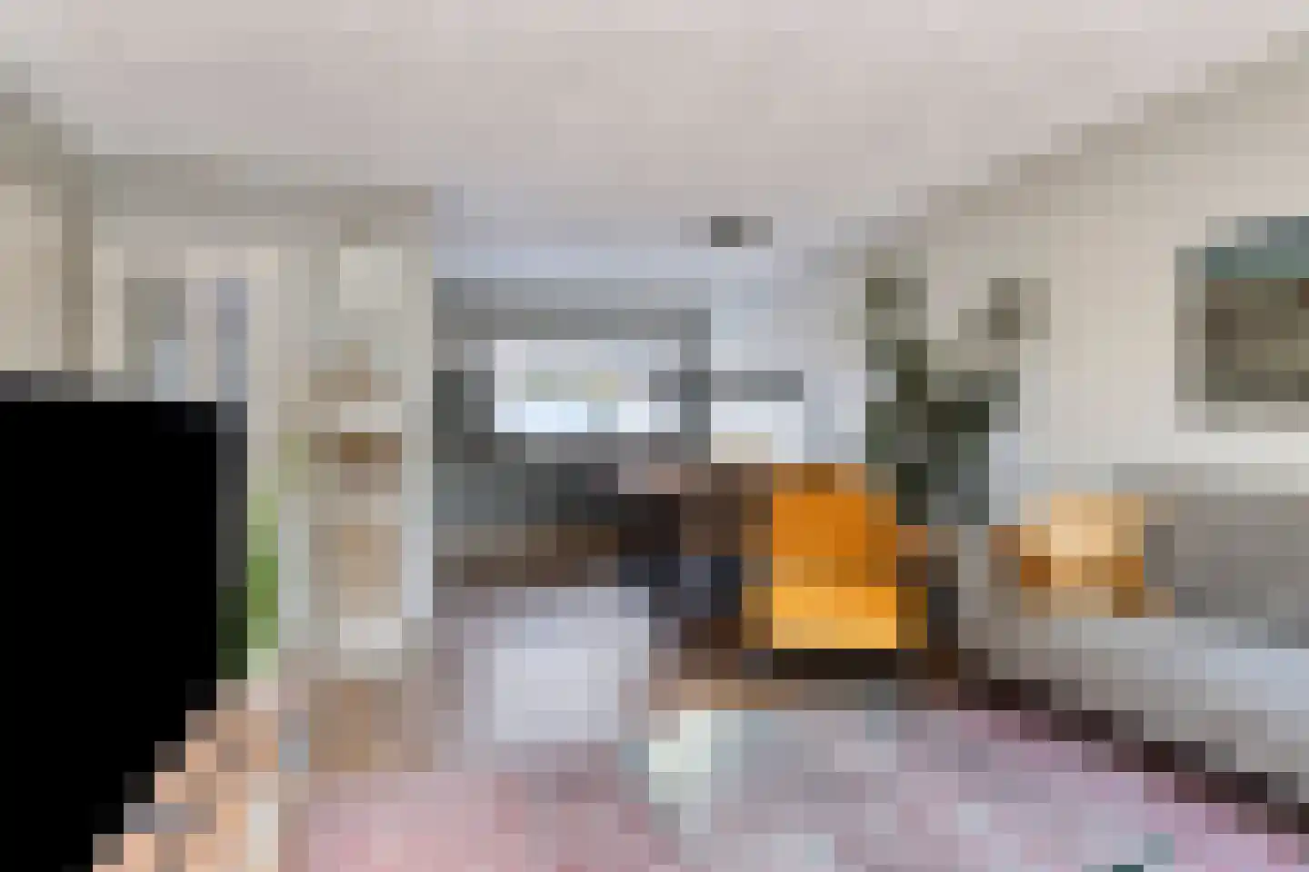 Boterbloem 22 Purmerend thumbnail 10