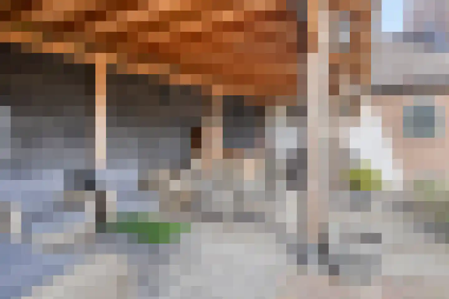 Boterbloem 22 Purmerend thumbnail 27