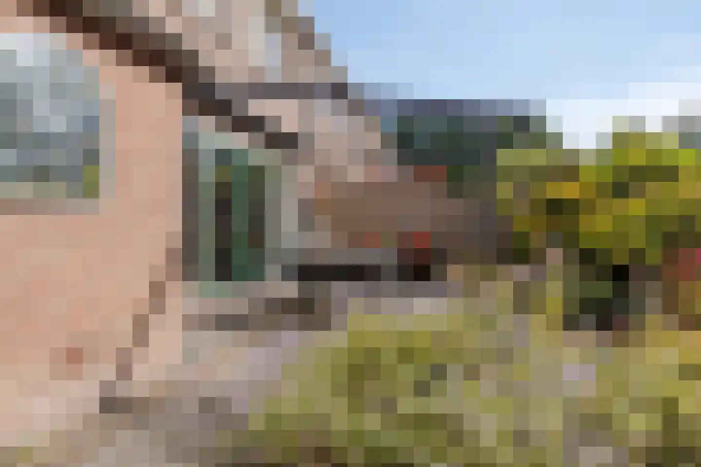 Boterbloem 22 Purmerend thumbnail 29