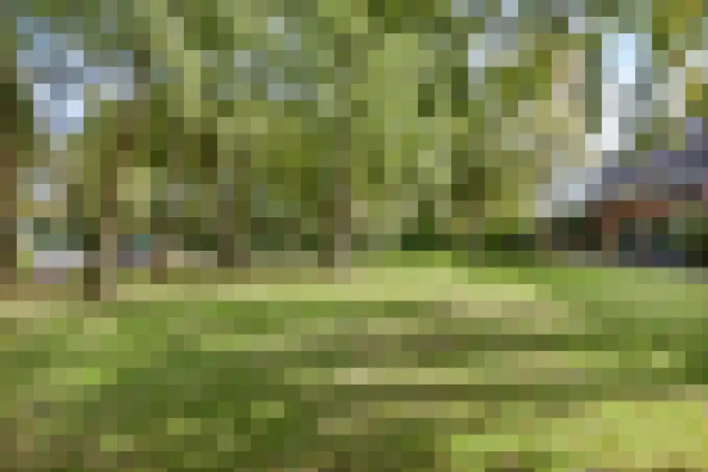 Boterbloem 22 Purmerend thumbnail 32