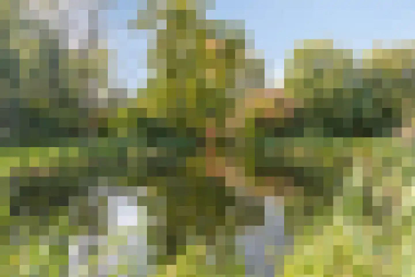 Boterbloem 22 Purmerend thumbnail 35