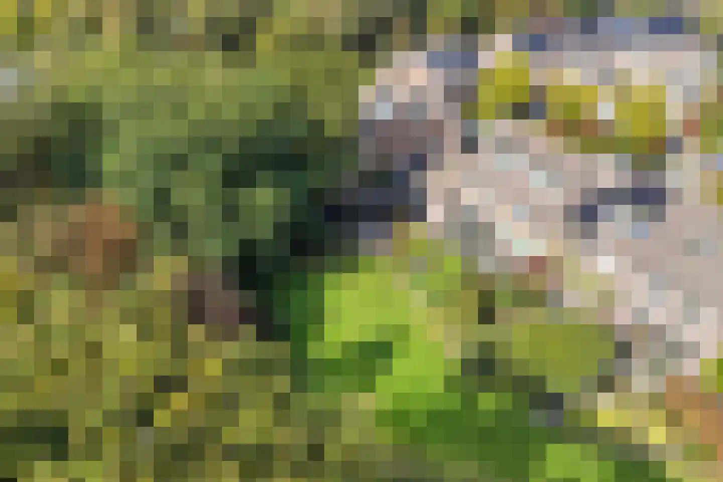 Boterbloem 22 Purmerend thumbnail 36