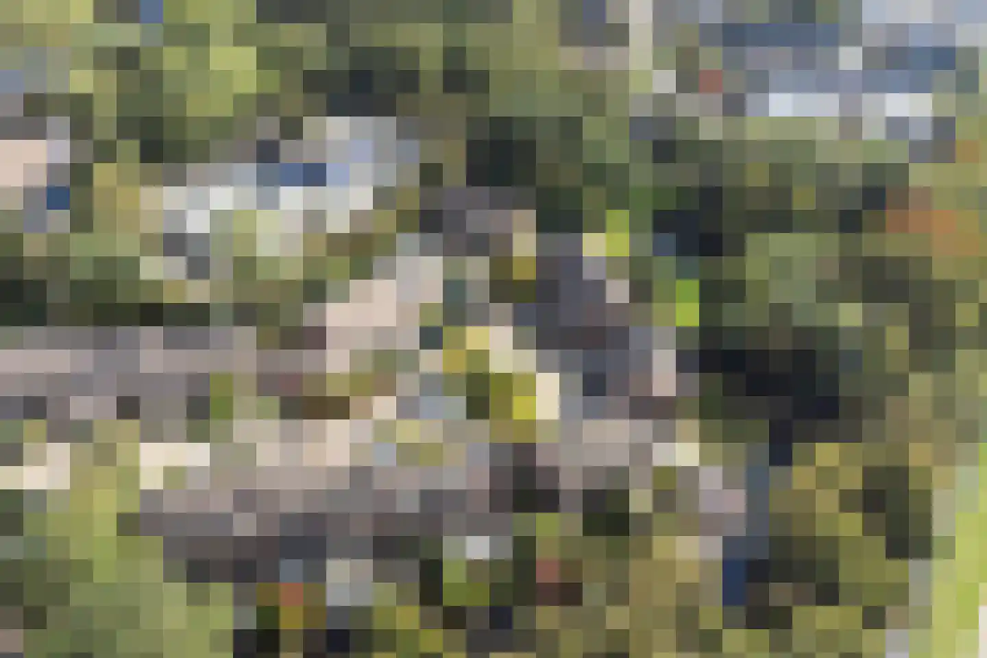 Boterbloem 22 Purmerend thumbnail 37