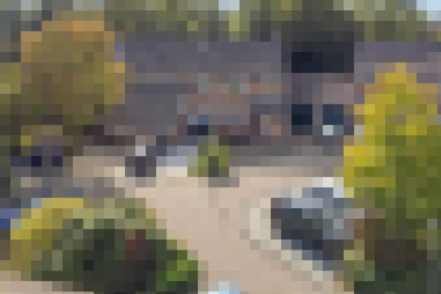 Boterbloem 22 Purmerend thumbnail 38