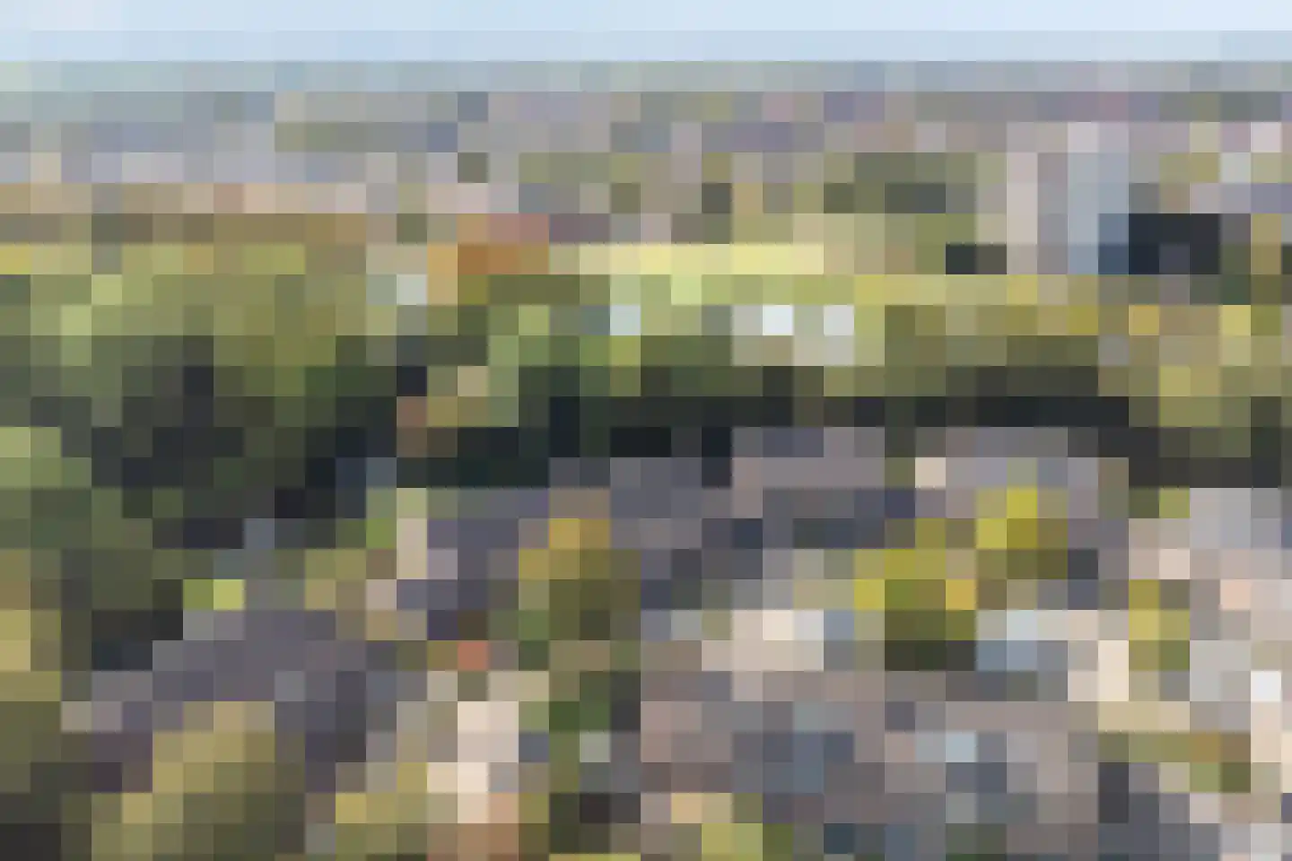 Boterbloem 22 Purmerend thumbnail 39