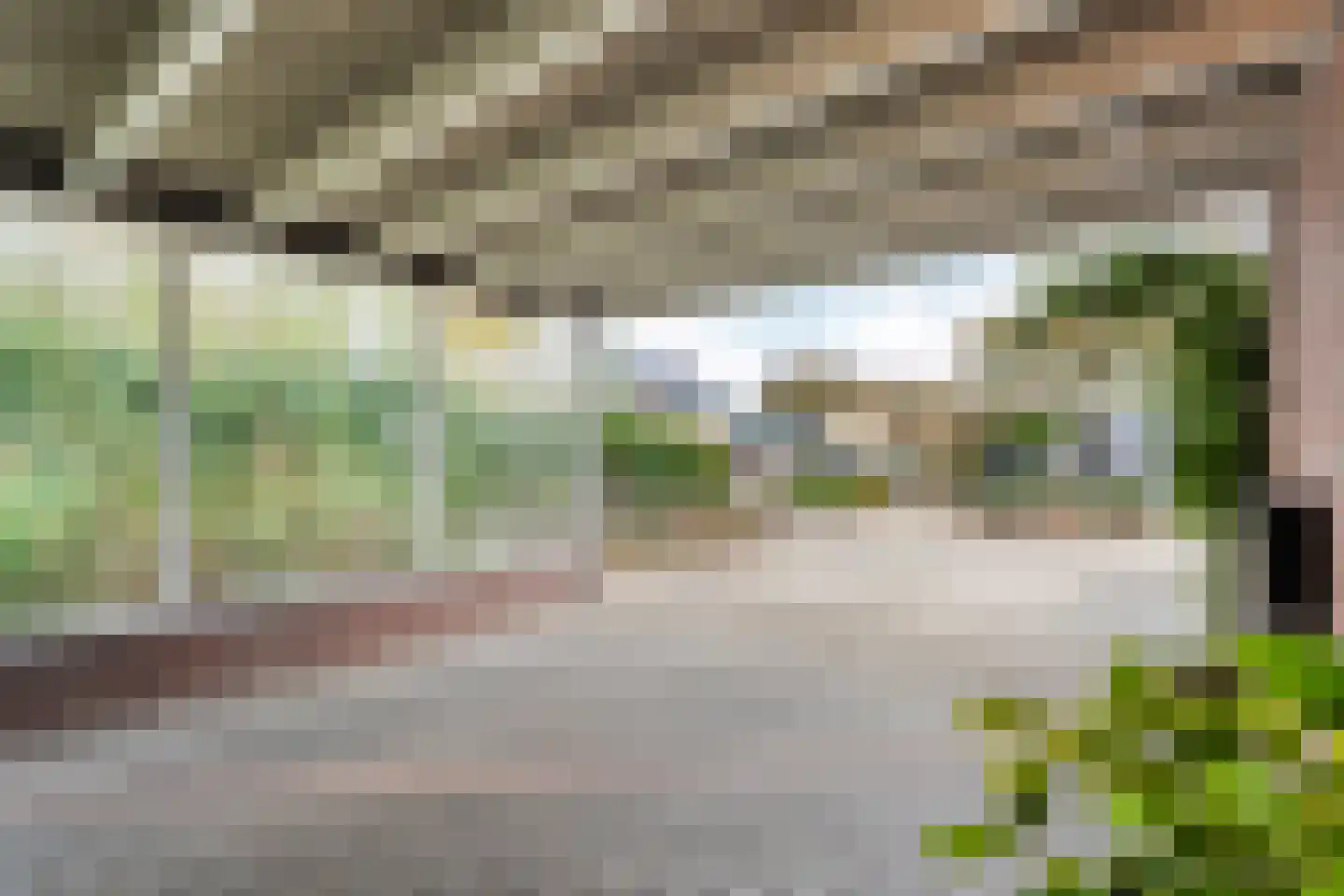 Boterbloem 23 Hardenberg thumbnail 12