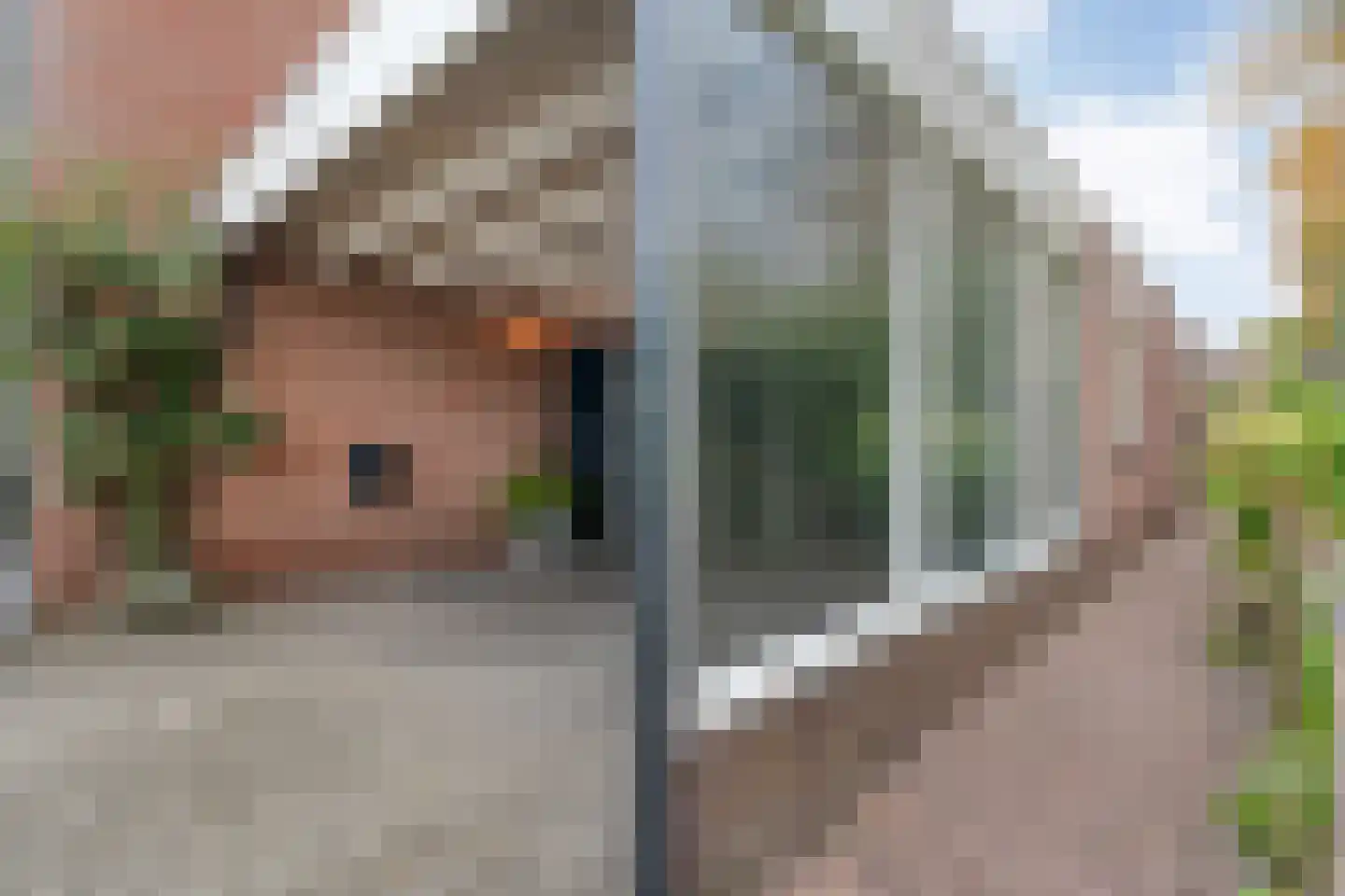Boterbloem 23 Hardenberg thumbnail 13