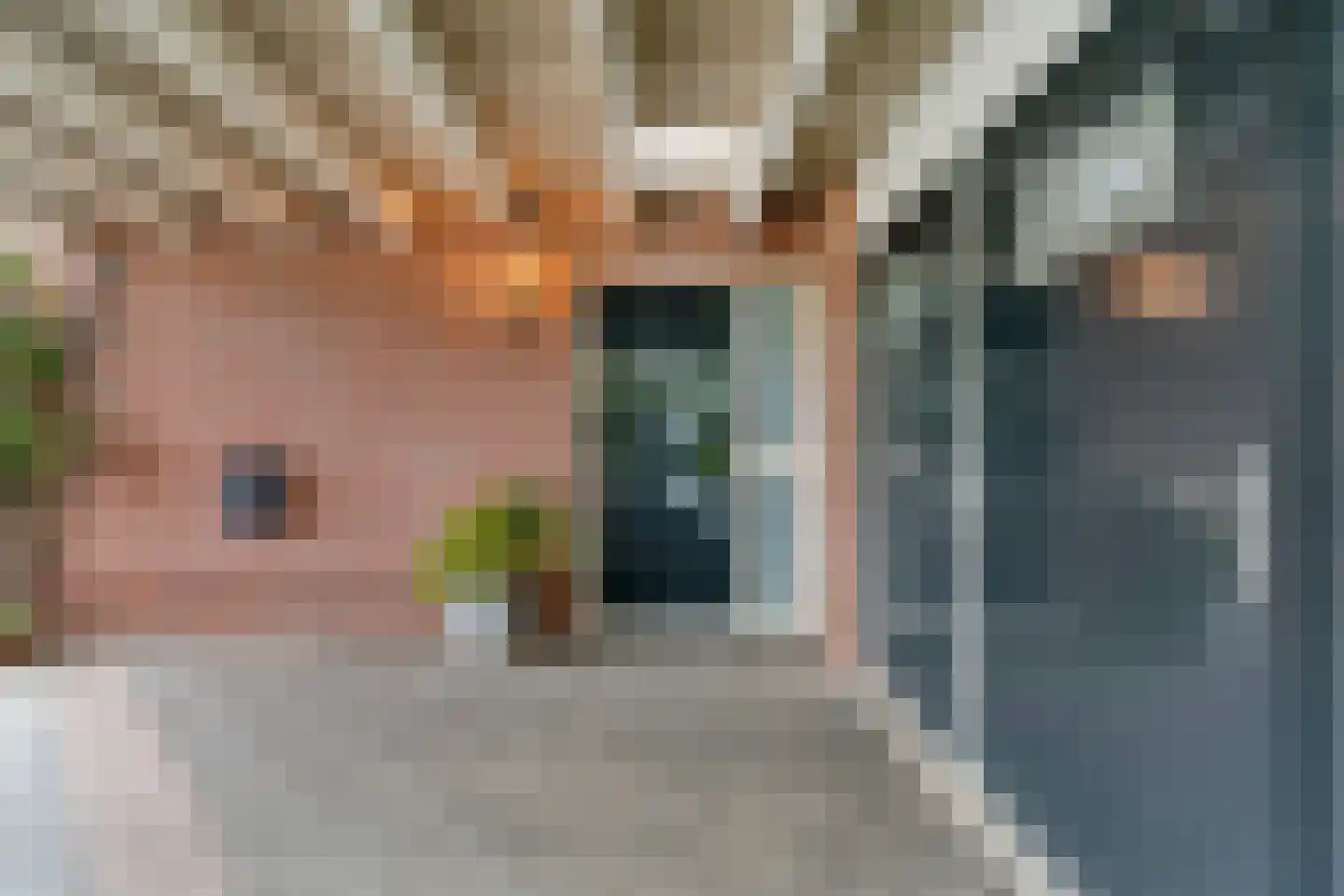 Boterbloem 23 Hardenberg thumbnail 14