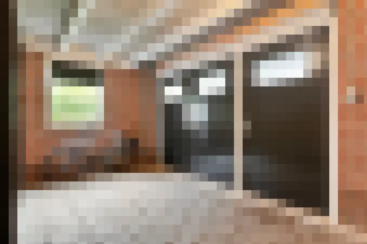 Boterbloem 23 Hardenberg thumbnail 34