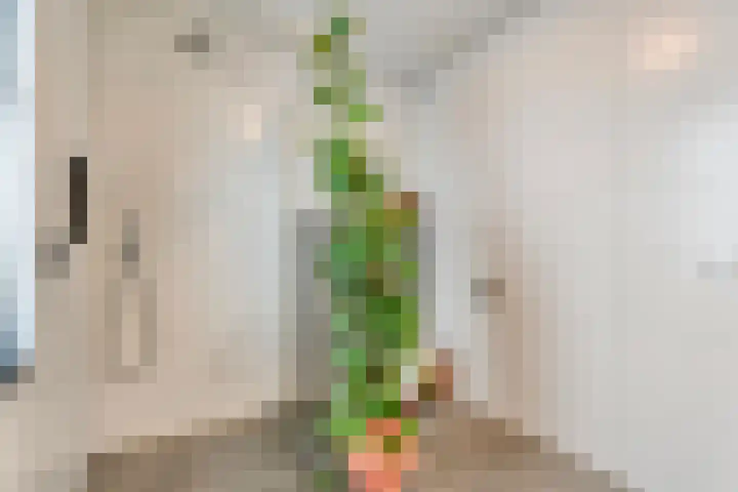 Boterbloem 23 Hardenberg thumbnail 48