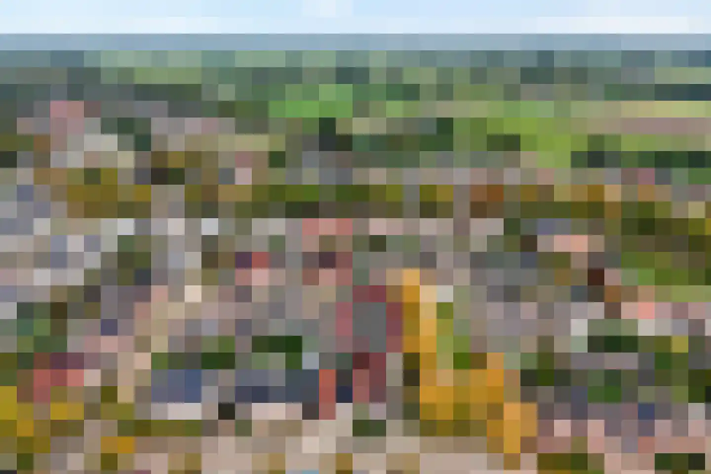 Boterbloem 23 Hardenberg thumbnail 5