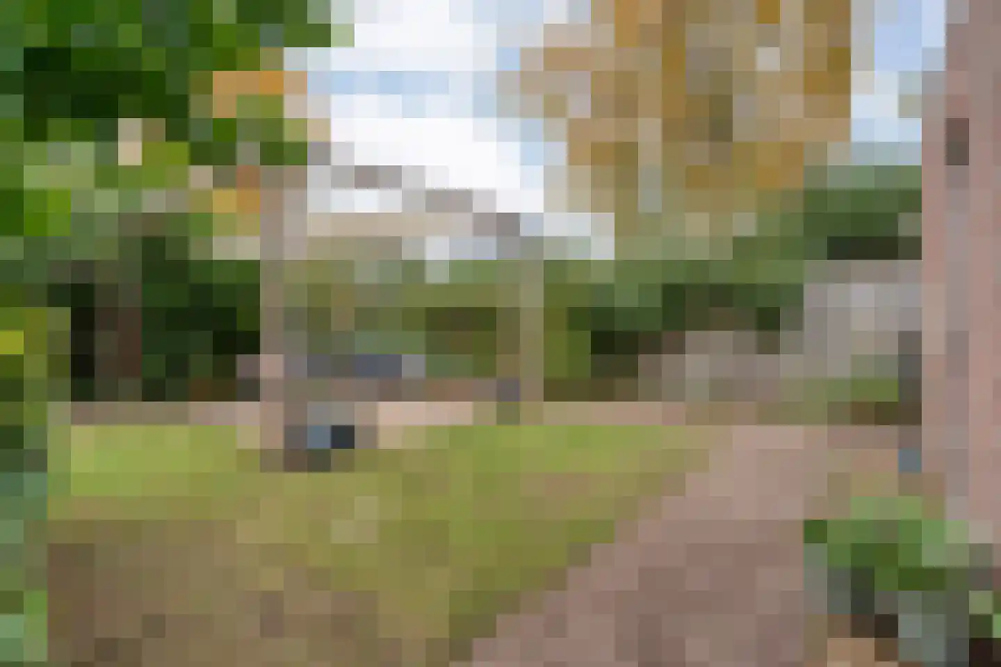 Boterbloem 23 Hardenberg thumbnail 54