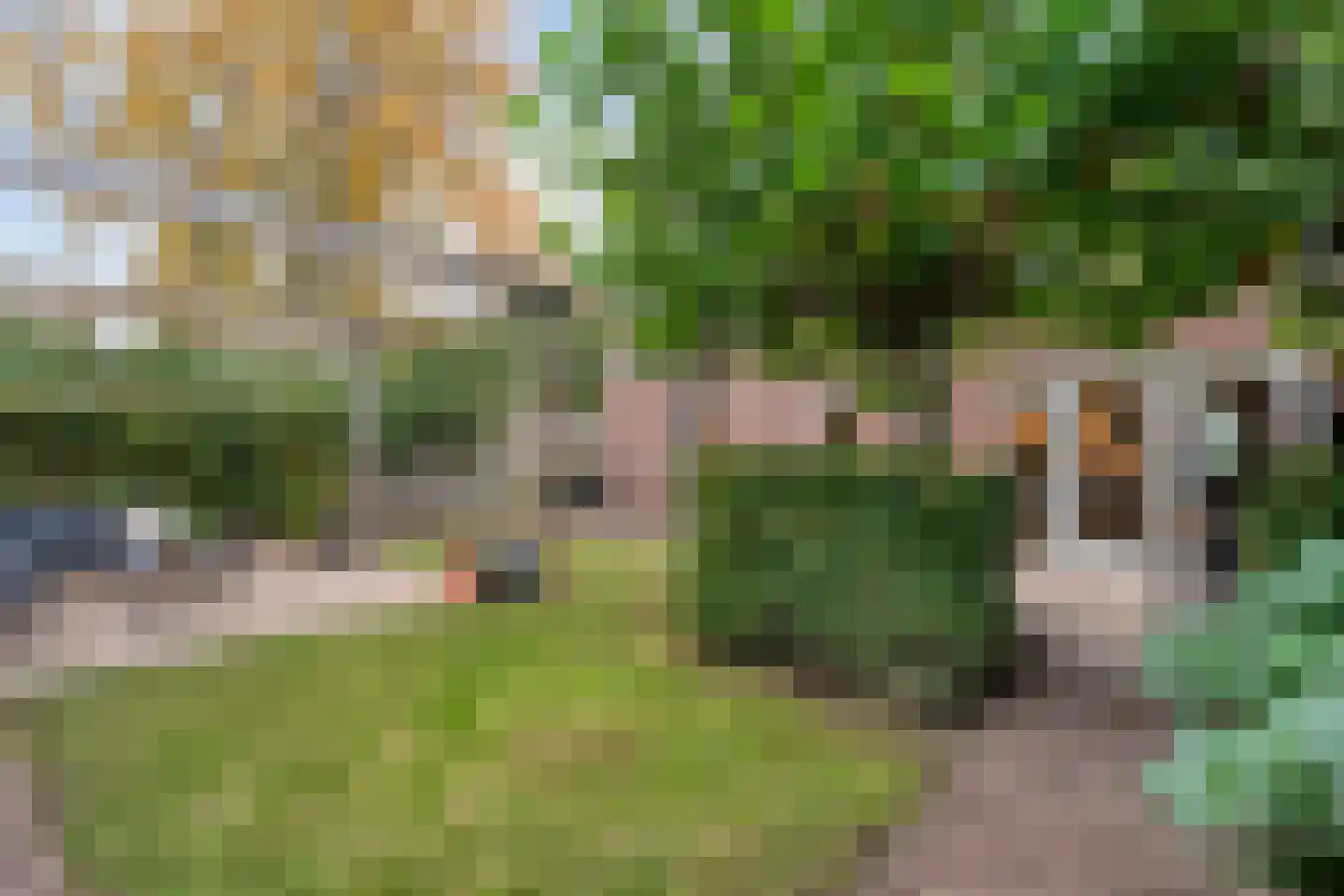 Boterbloem 23 Hardenberg thumbnail 56