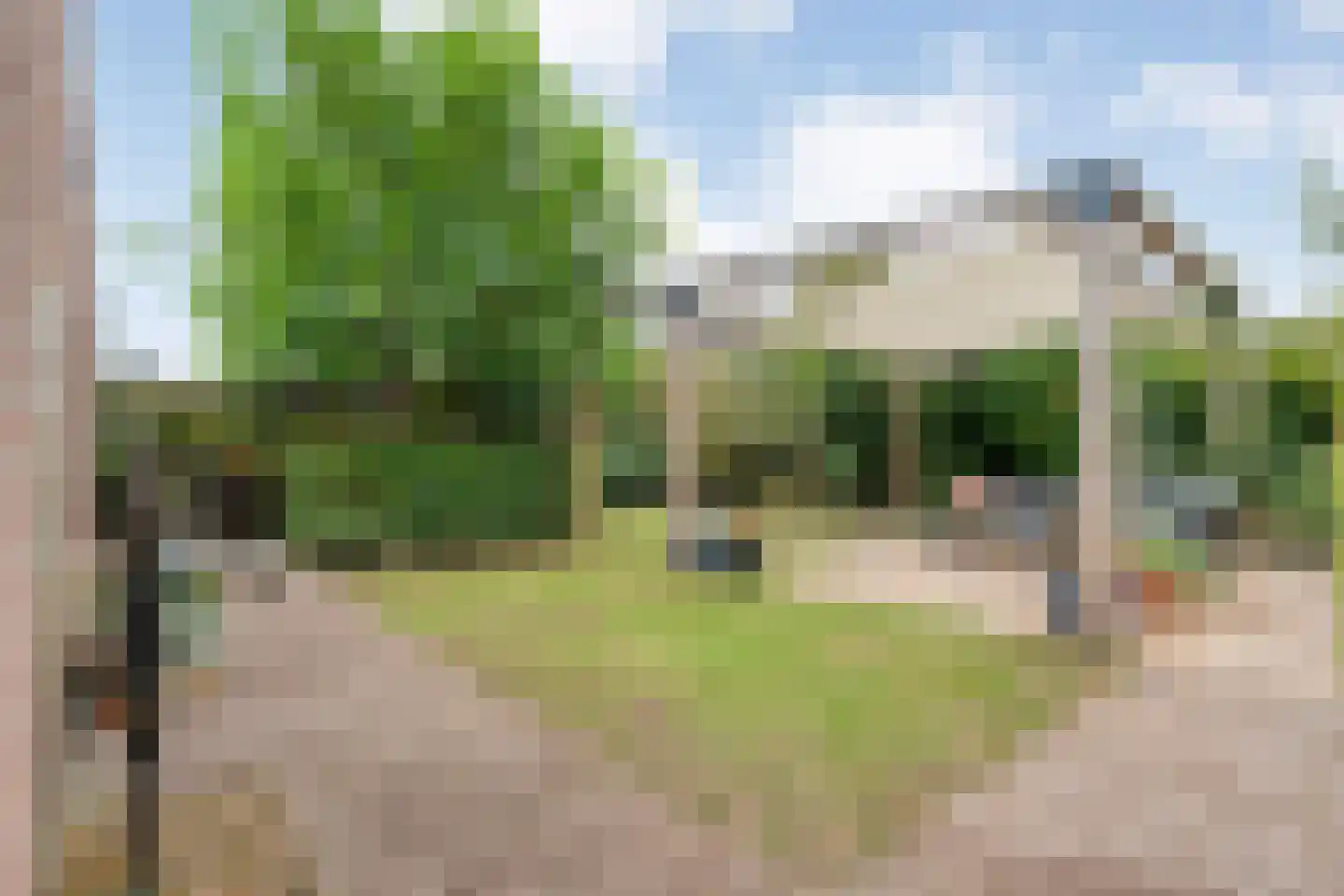 Boterbloem 23 Hardenberg thumbnail 57