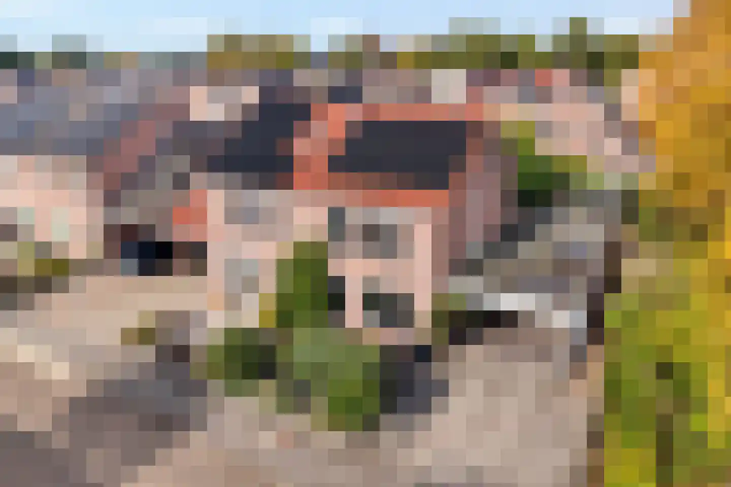Boterbloem 23 Hardenberg thumbnail 6