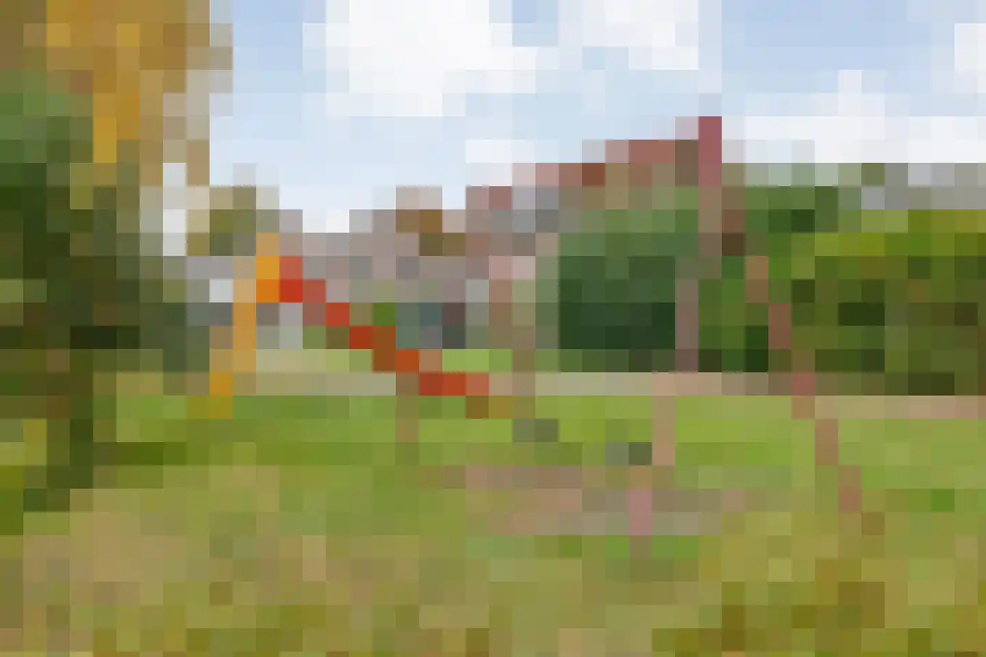 Boterbloem 23 Hardenberg thumbnail 60